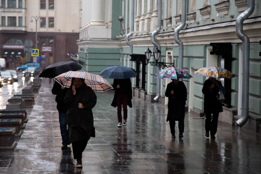 Синоптик Тишковец: 13 мая в Москве пройдет небольшой дождь