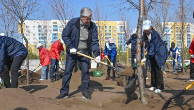 Токаев дал поручения по благоустройству и озеленению не пострадавших от паводков территорий