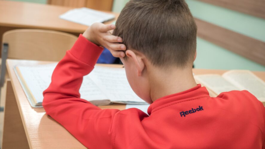 Деньги за репетитора можно вернуть: кому полагается налоговый вычет 19/02/2026 &ndash; Новости