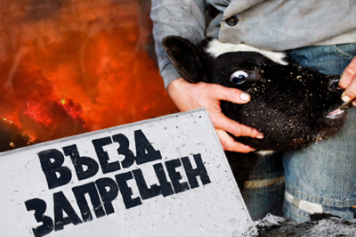 Ущерб от&nbsp;убоя скота в&nbsp;российских регионах превысил 1,5 миллиарда