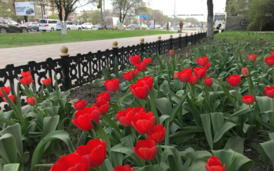 Новые температурные рекорды установил май в Актобе