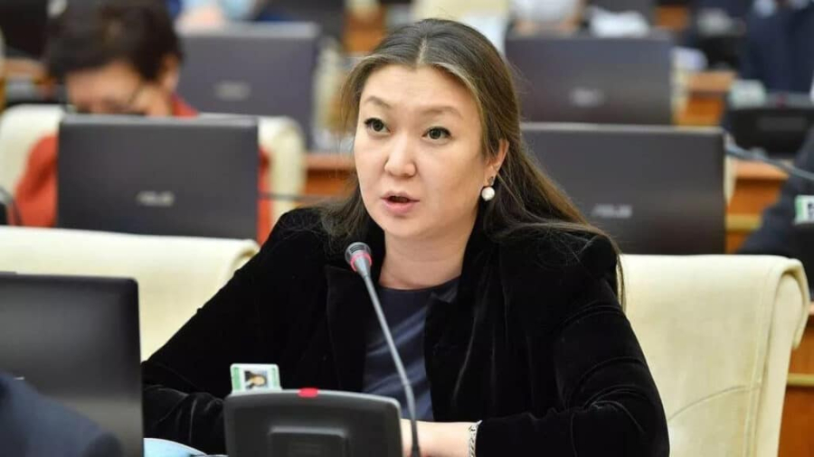 Похищенная в Талгаре девочка находится в больнице с мамой