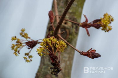 В Казани был зафиксирован новый температурный рекорд &mdash; +9,3 градуса 13-го марта