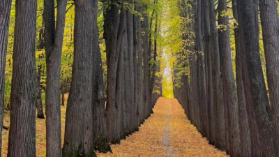 Татарстан отстоял в суде охранный статус парка усадьбы Нарышкиных-Паулуччи