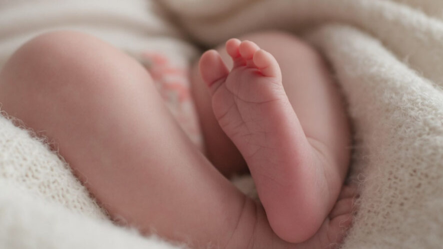 Турист поднял младенца над 80-метровым обрывом ради эффектного фото 20/02/2026 &ndash; Новости