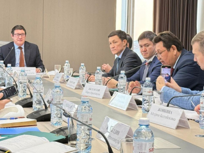 Стало известно, как будет называться первая АЭС Казахстана