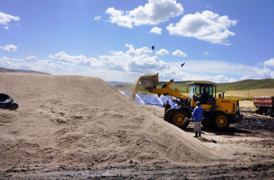 Сильные позиции подсолнечника