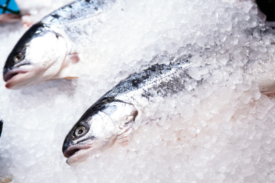 РИАН: Сельдь, скумбрия и треска вошли в список подешевевших рыб в 2025 году