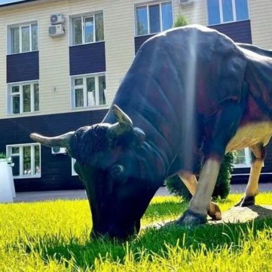 Предприятие &laquo;Элита&raquo; стало партнёром Ассоциации производителей КРС голштинской породы
