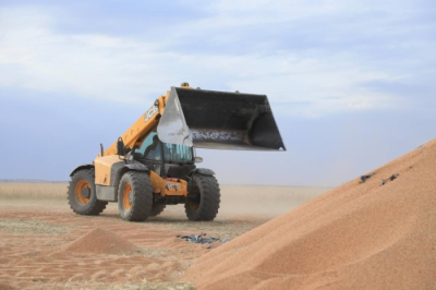 В Актюбинской области начали убирать урожай