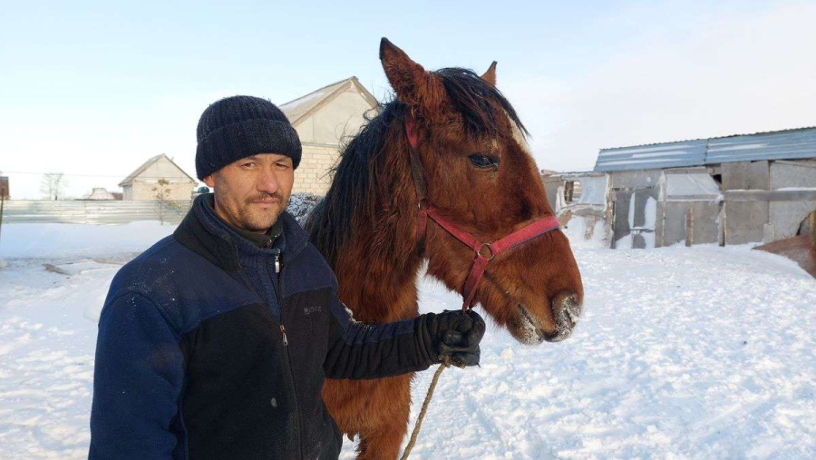 Табунщик на селе – фигура ключевая