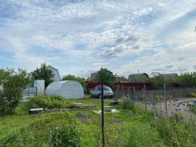 Новые правила для дачников в 2026 году: штрафы за борщевик и обновленная дачная амнистия