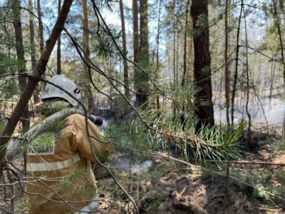 Точка по уголовным делам по факту пожара в Семей орманы поставлена — Генпрокуратура