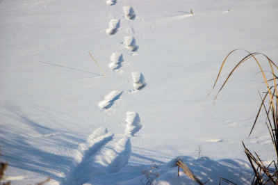 В плену бурана