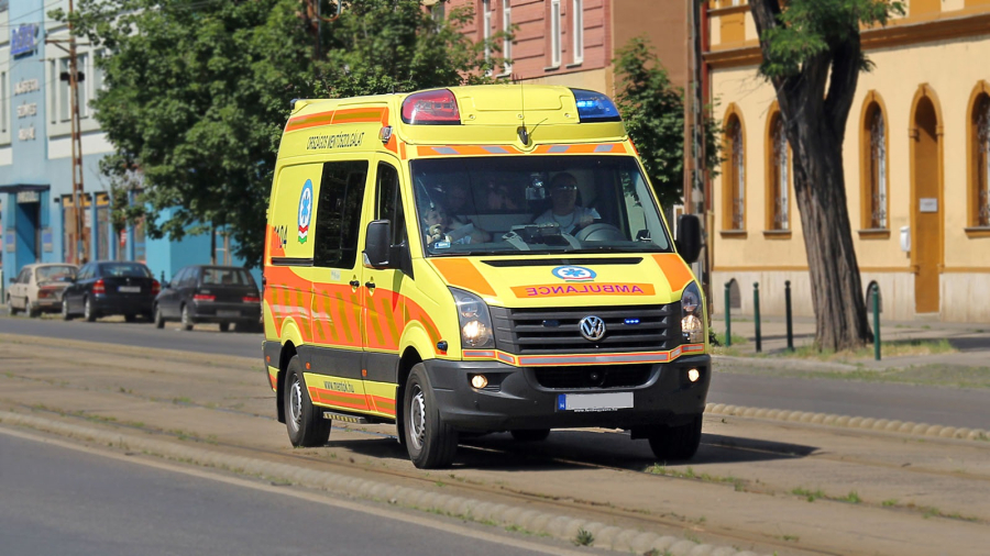 В Шри-Ланке дикий слон насмерть затоптал туриста из Венгрии