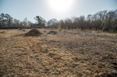 В Татарстане потеплеет до +15 градусов, прекратятся осадки и развеется туман