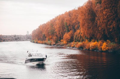 Проекты Президентского фонда природы помогают сохранять уникальные экосистемы России