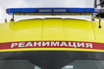 Екатеринбуржец оказался в реанимации после укуса паука