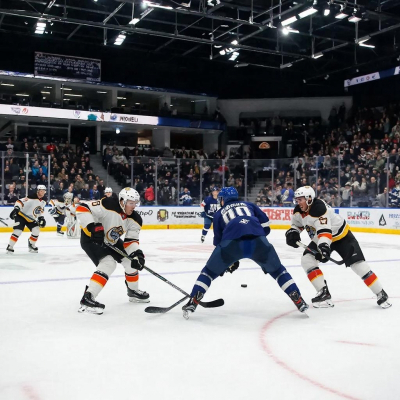 Новосибирец рассказал, как стал жертвой мошенников при покупке билетов на хоккей