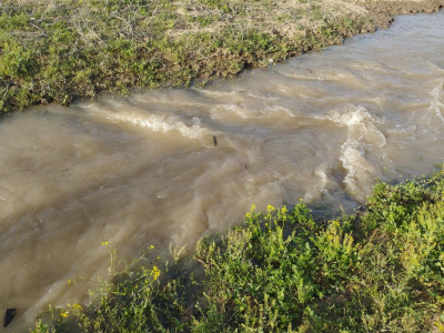 В пойме Урала в Махамбетском районе рано разлилась вода