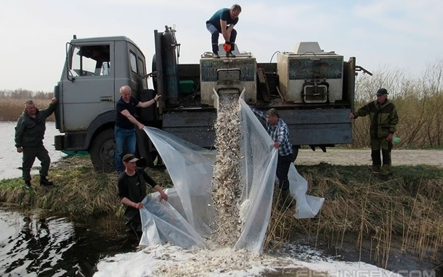 В Северном Казахстане усилили меры по охране рыбных ресурсов