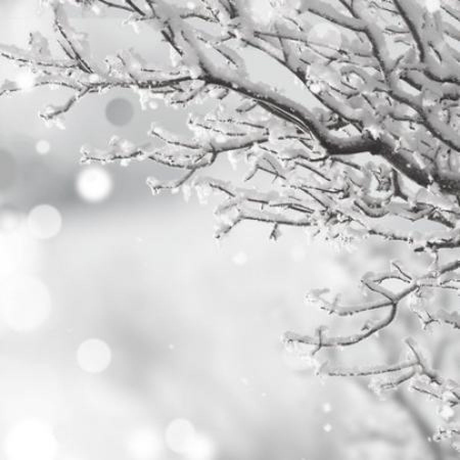 Вильфанд пообещал Поволжью аномальные морозы в ближайшие дни