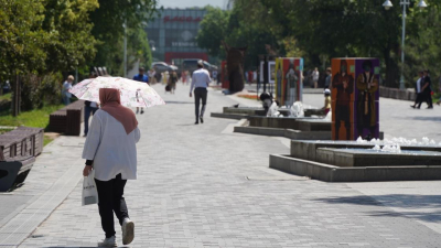 Жару прогнозируют в Шымкенте на этой неделе