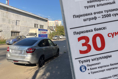 В&nbsp;Кировском районе Казани планируют расширить зону платных парковок