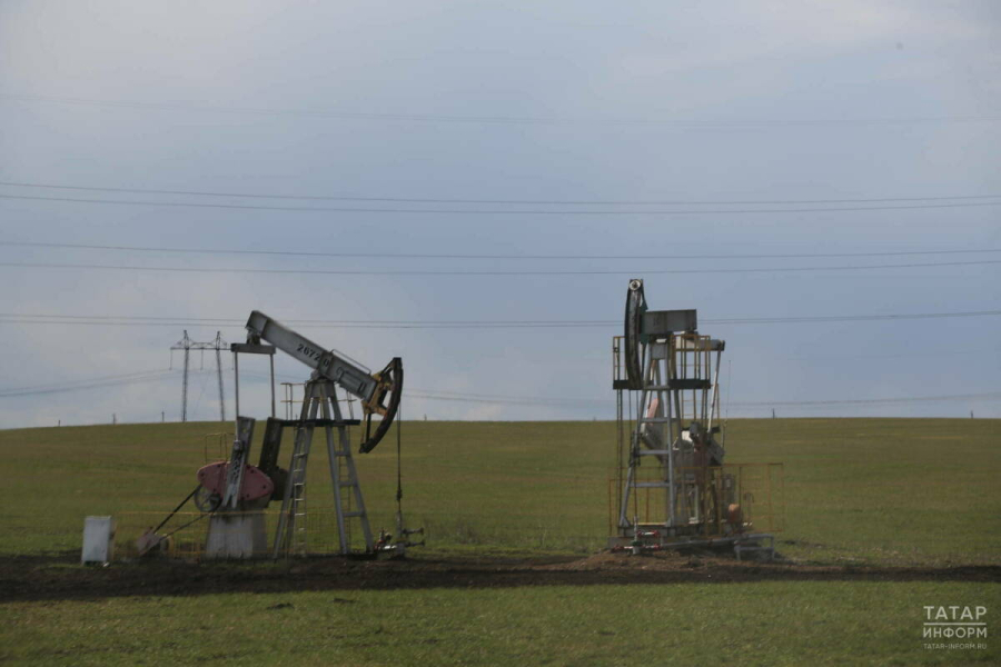 Росприроднадзор: В 2025 году число нарушений со стороны МНК в Татарстане уменьшилось