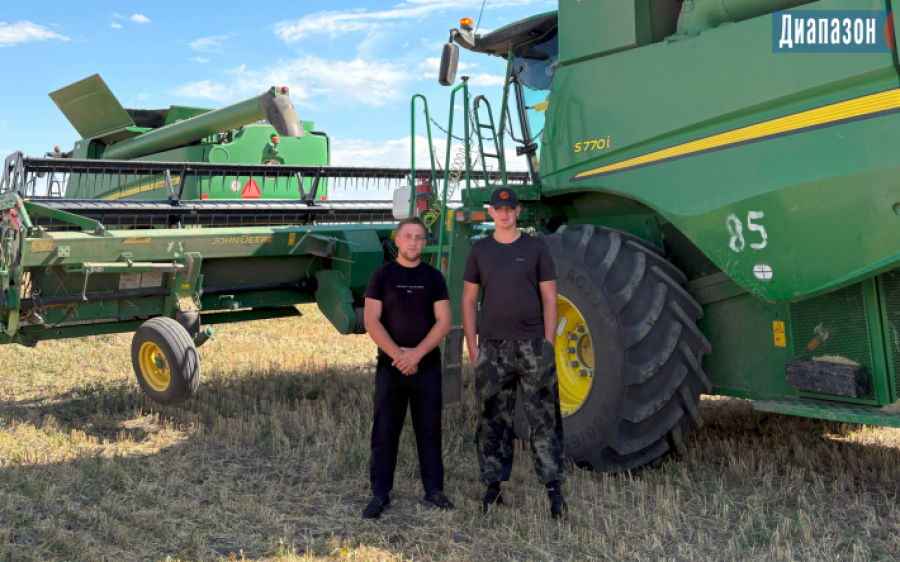 Пшеницу, нут и красную чечевицу растят в Каргалинском районе