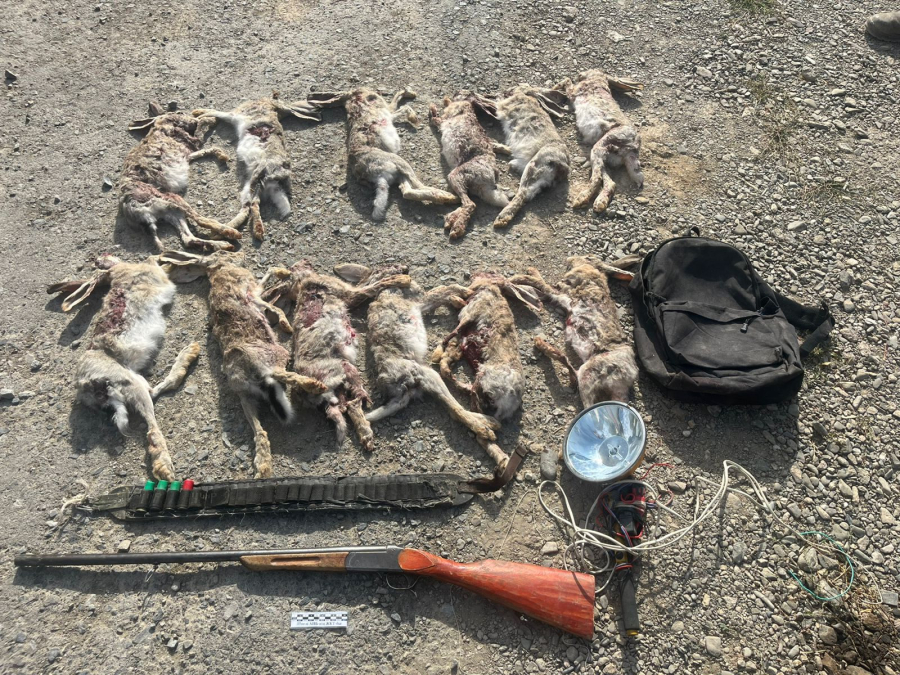 Охотников на зайцев задержали в Приаралье