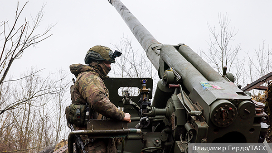Биолог Русинов рассказал, как спасать травмированных весной птиц