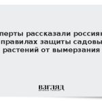 Эксперт рассказала россиянам о правилах защиты садовых растений от вымерзания