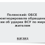 Полянский: ОБСЕ проигнорировала обращения России об ударах ВСУ по мирным жителям