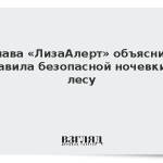 Глава «ЛизаАлерт» объяснил правила безопасной ночевки в лесу