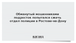 Обманутый мошенниками подросток попытался сжечь отдел полиции в Ростове-на-Дону