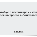 Автобус с пассажирами сбил лося на трассе в Ленобласти