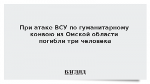 При атаке ВСУ по гуманитарному конвою из Омской области погибли три человека