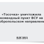 «Тосочка» уничтожила командный пункт ВСУ на добропольском направлении