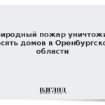 Природный пожар уничтожил десять домов в Оренбургской области