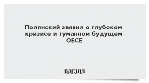 Полянский заявил о глубоком кризисе и туманном будущем ОБСЕ