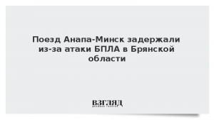 Поезд Анапа-Минск задержали из-за атаки БПЛА в Брянской области