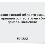 В Вологодской области нашли потерявшегося во время сбора грибов мальчика