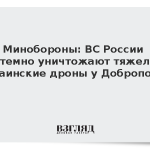 Минобороны: ВС России системно уничтожают тяжелые украинские дроны у Доброполья