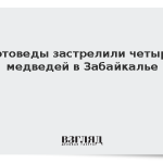 Охотоведы застрелили четырех медведей в Забайкалье