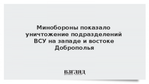 Минобороны показало уничтожение подразделений ВСУ на западе и востоке Доброполья