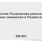 Синоптик Позднякова указала на скорые заморозки в Подмосковье