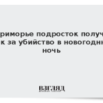 В Приморье подросток получил срок за убийство в новогоднюю ночь