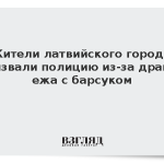 Жители латвийского города вызвали полицию из-за драки ежа с барсуком