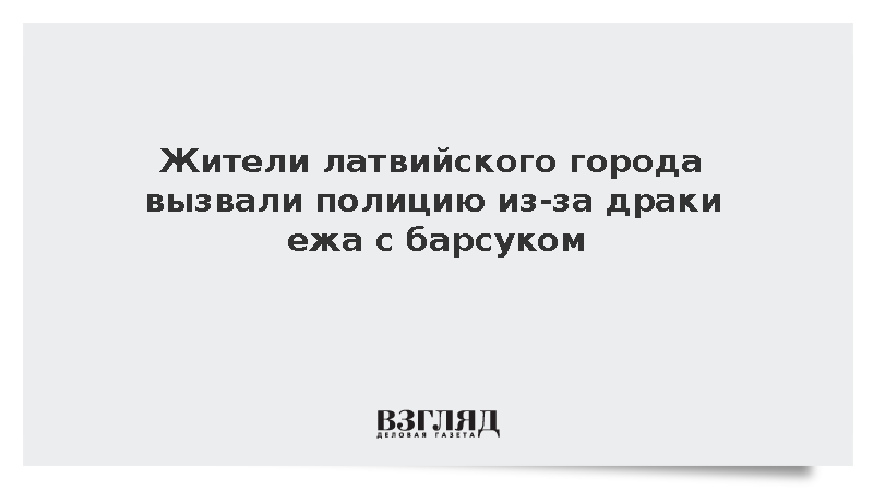 Жители латвийского города вызвали полицию из-за драки ежа с барсуком